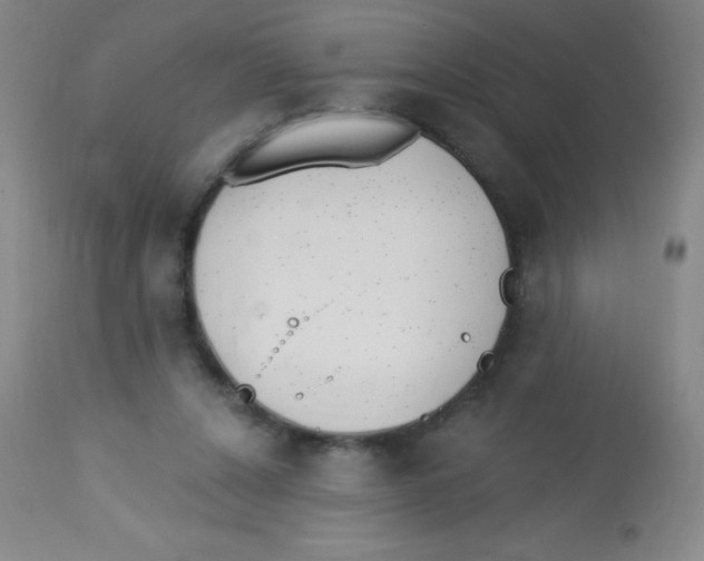 X0000113740256200910211131