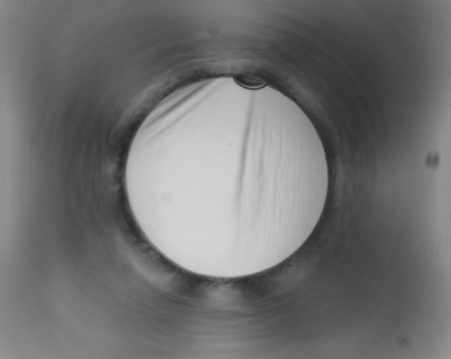 X0000113740258200910211131