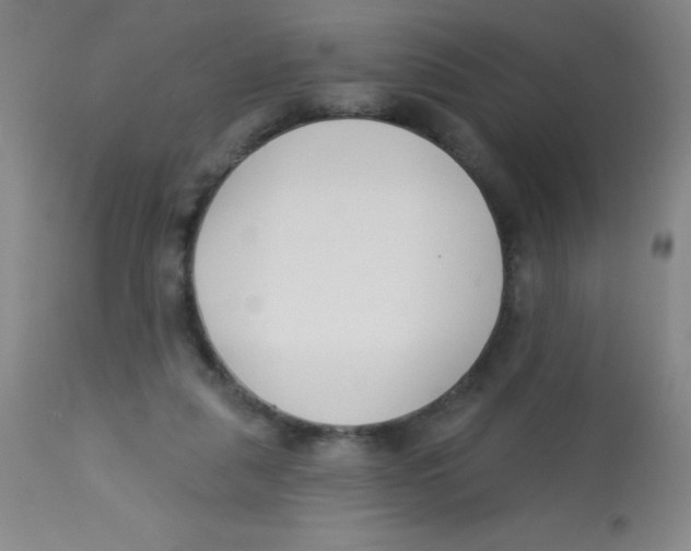 X0000113740259200910211131