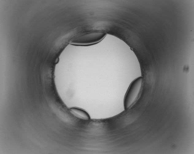 X0000113740260200910211131