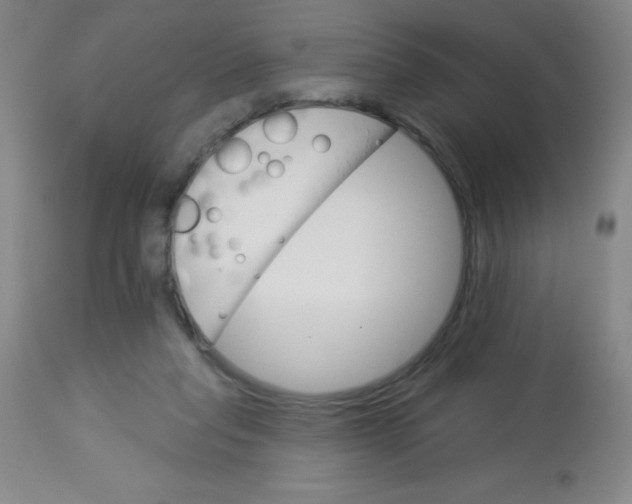 X0000113740261200910211131