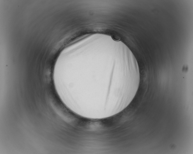 X0000113740262200910211131