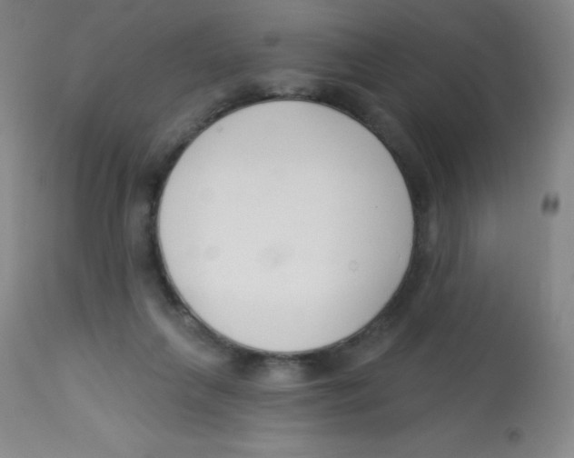 X0000113740263200910211131