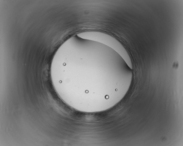 X0000113740264200910211131