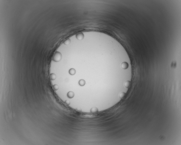 X0000113740265200910211131