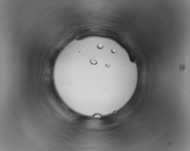 X0000113740266200910211131