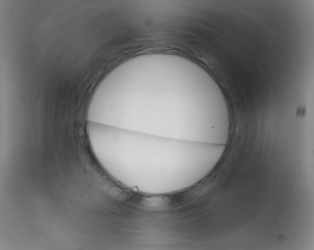 X0000113740269200910211131