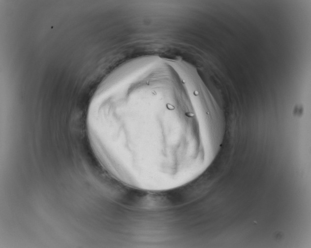 X0000113740270200910211131