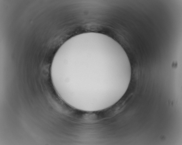 X0000113740271200910211131