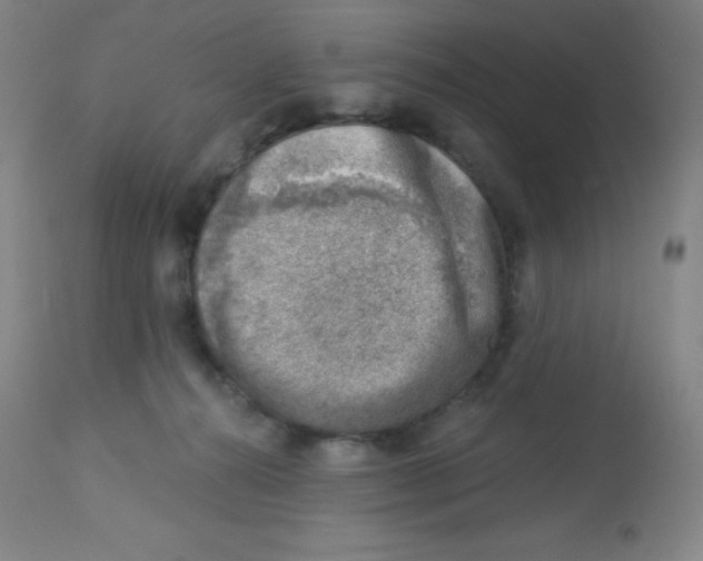 X0000113740272200910211131