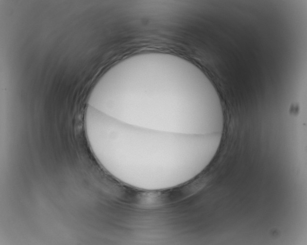 X0000113740273200910211131