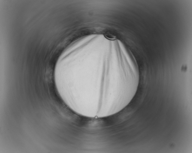 X0000113740274200910211131