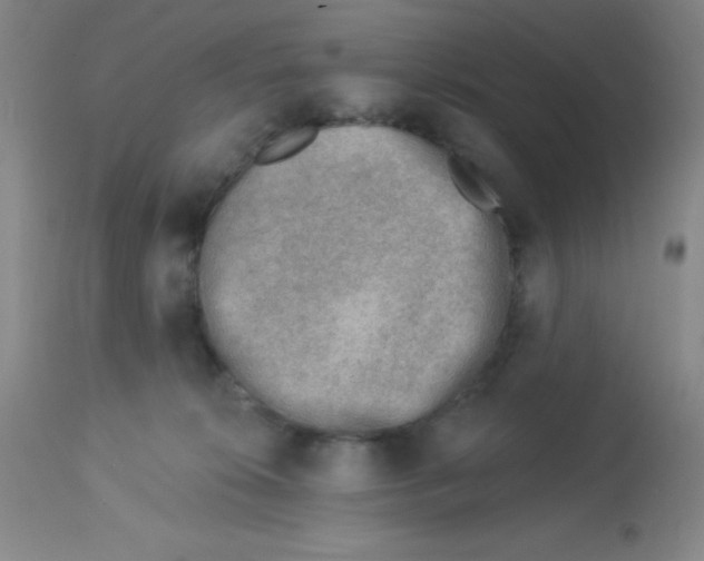 X0000113740276200910211131
