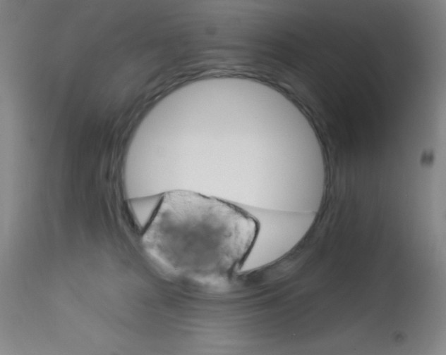 X0000113740277200910211131