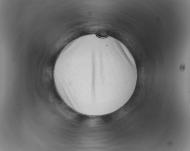 X0000113740278200910211131