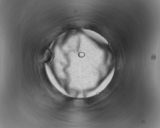 X0000113740279200910211131
