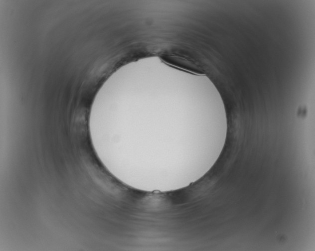 X0000113740280200910211131