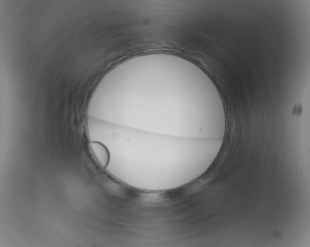 X0000113740281200910211131