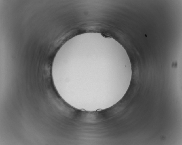 X0000113740282200910211131