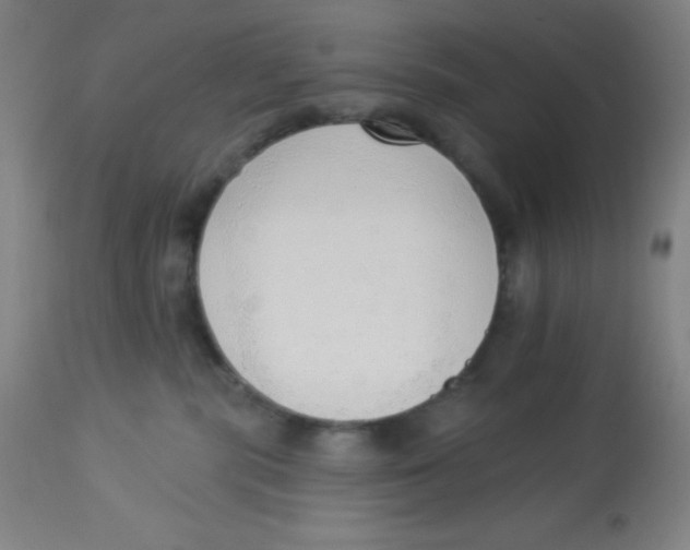 X0000113740283200910211131