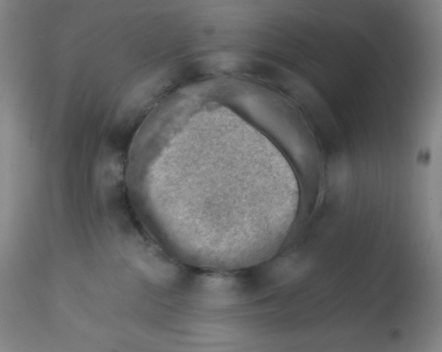 X0000113740284200910211131