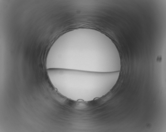 X0000113740285200910211131
