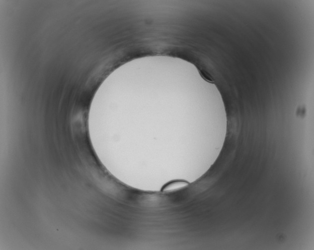 X0000113740286200910211131