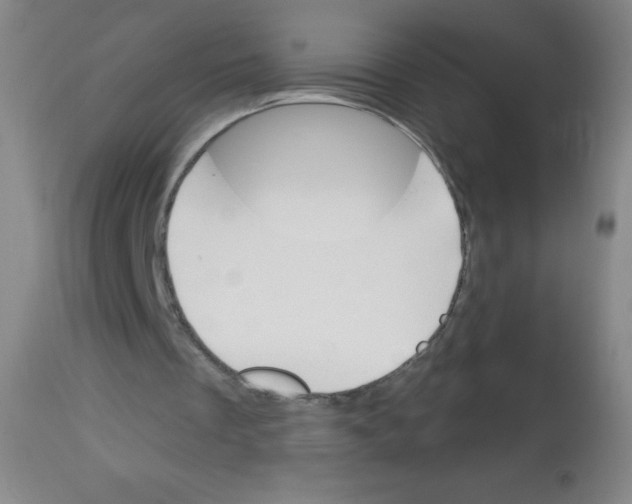 X0000113740289200910211131