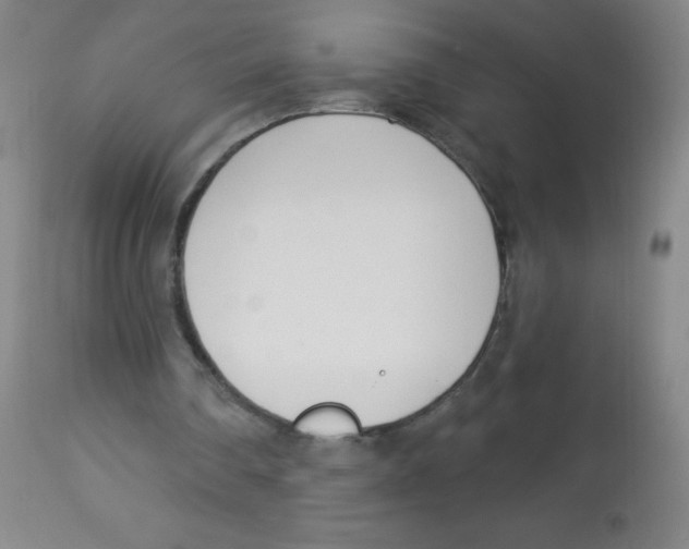 X0000113740290200910211131