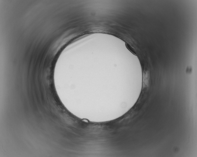 X0000113740291200910211131