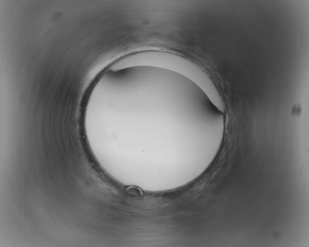 X0000113740292200910211131