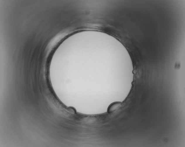 X0000113740294200910211130