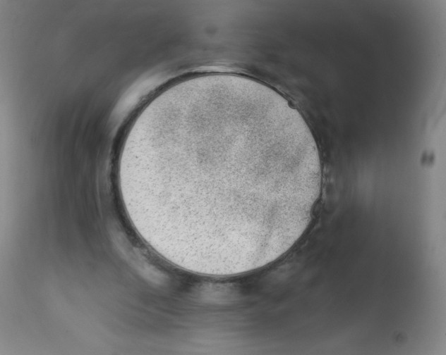 X0000113740296200910211130