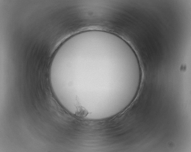 X0000113740297200910211130