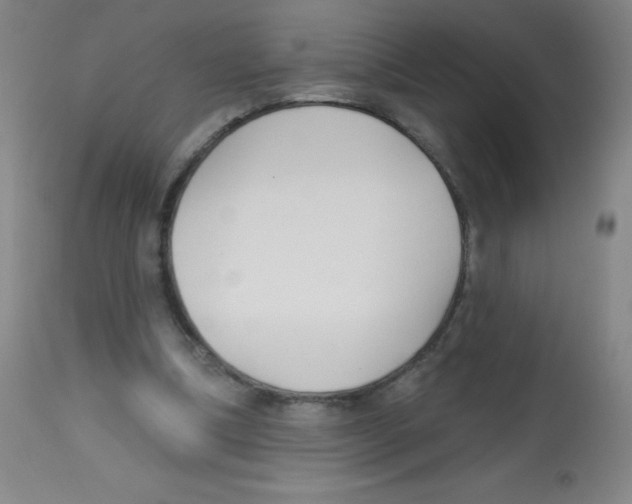 X0000113740298200910211130
