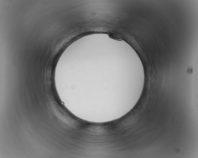 X0000113740299200910211130