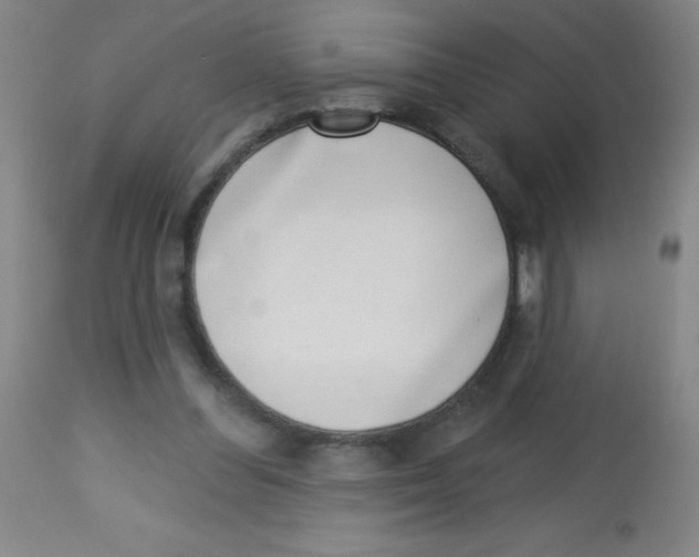 X0000113740300200910211130