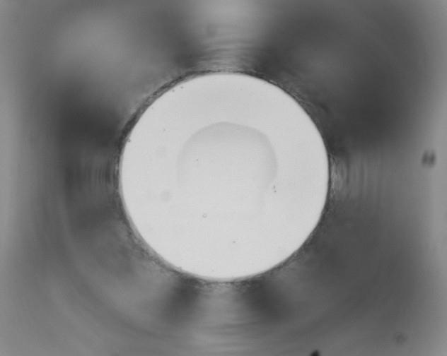X0000113740301200910211130