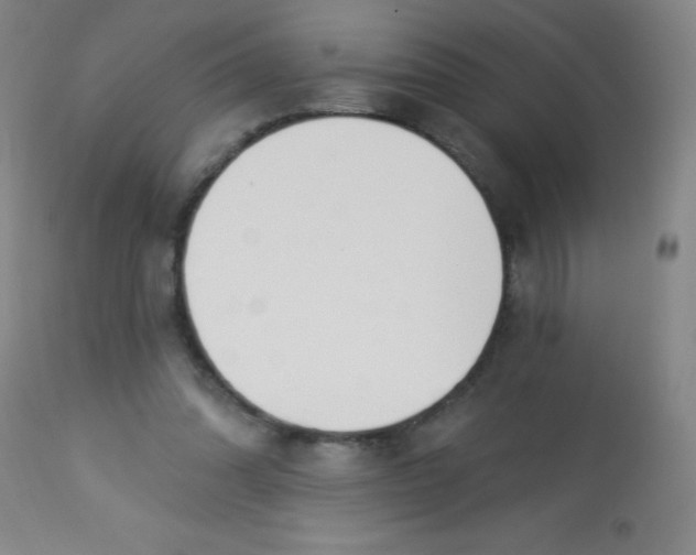 X0000113740302200910211130
