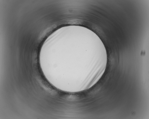 X0000113740303200910211130