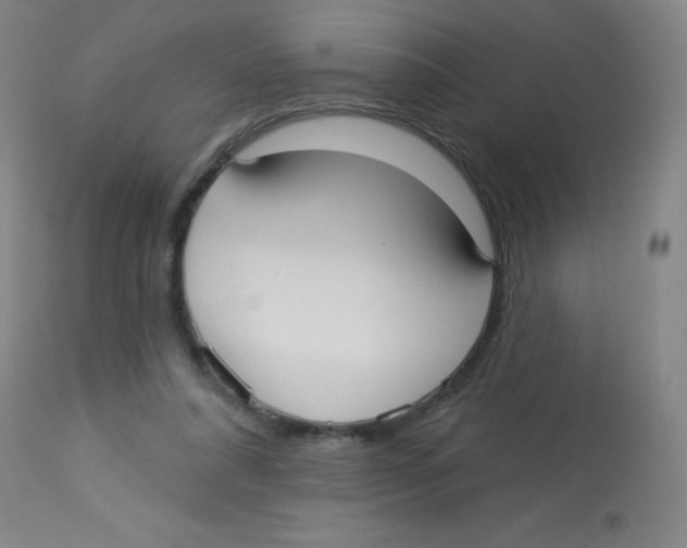 X0000113740304200910211130