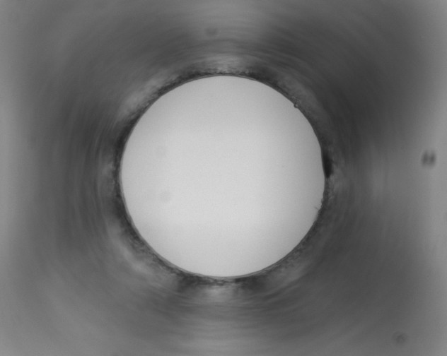 X0000113740306200910211130