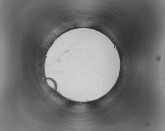 X0000113740307200910211130
