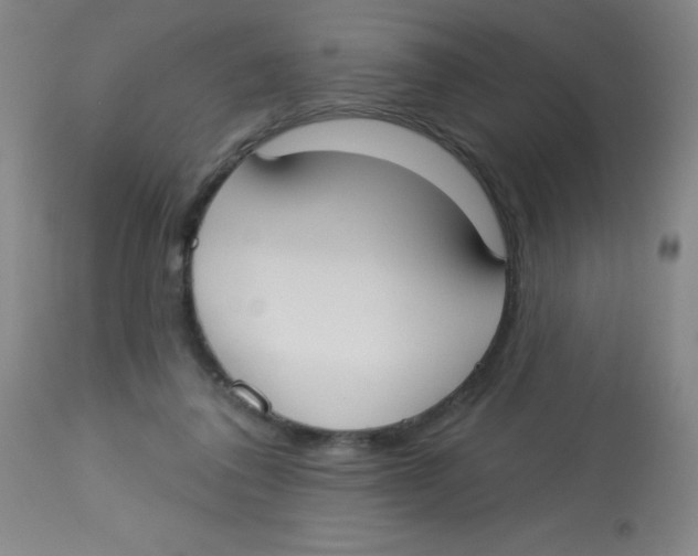 X0000113740308200910211130