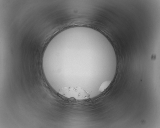 X0000113740309200910211130