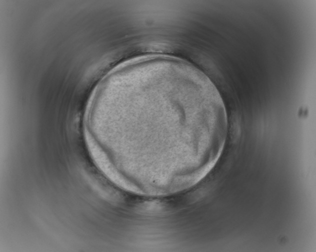 X0000113740310200910211130