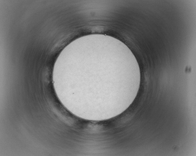 X0000113740311200910211130
