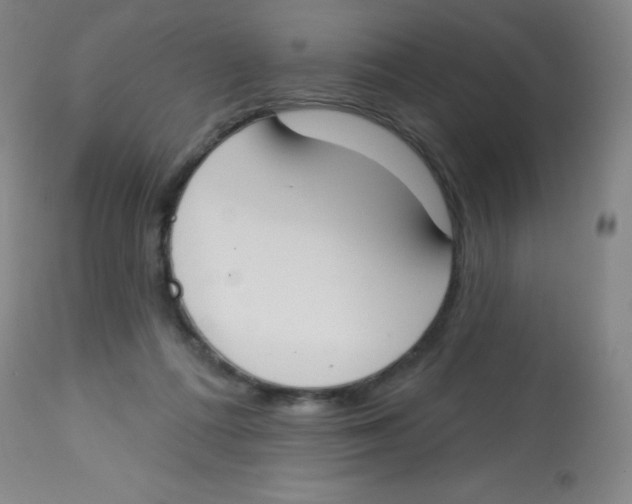 X0000113740312200910211130