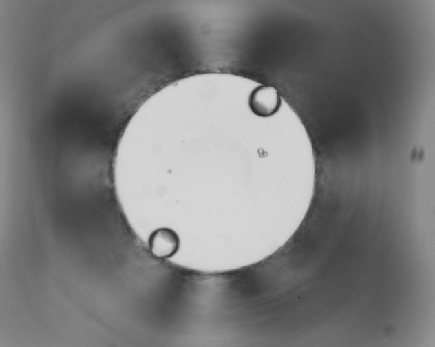 X0000113740313200910211130