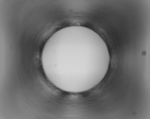 X0000113740314200910211130
